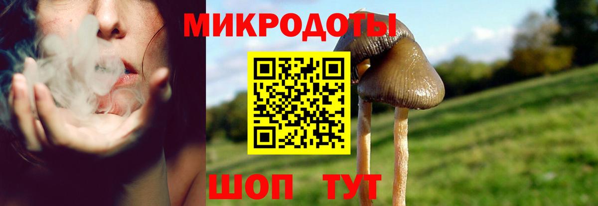 Псилоцибиновые грибы мухоморы Карачаевск